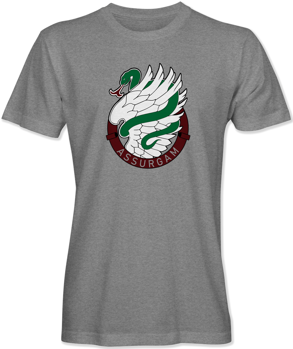 Assurgam Logo T-shirt – Rakkasan Store